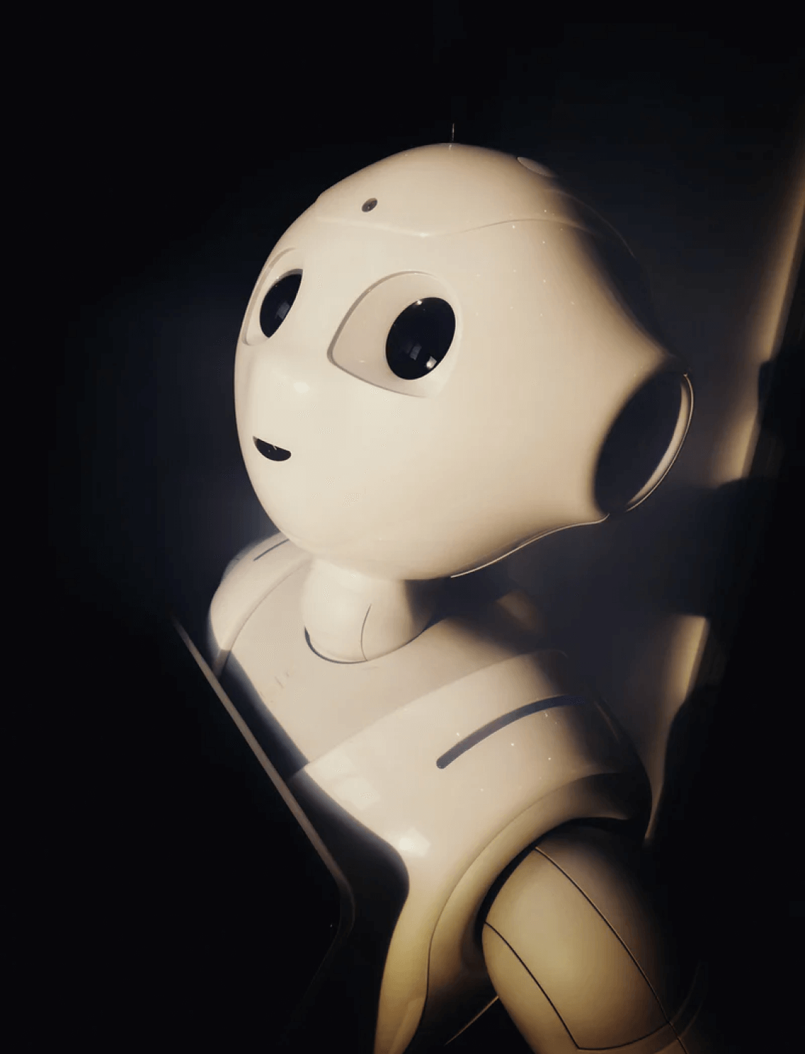 The Future Reimagined